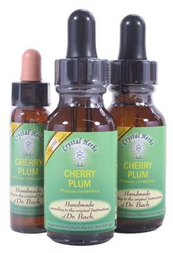 Cherry Plum - Bach Flower Remedies