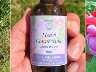 Picture of Catherine Keattch holding a Heart Connection Spray, a close up of a Heart Connection Essence Spray and picture of Fuchsia flowers