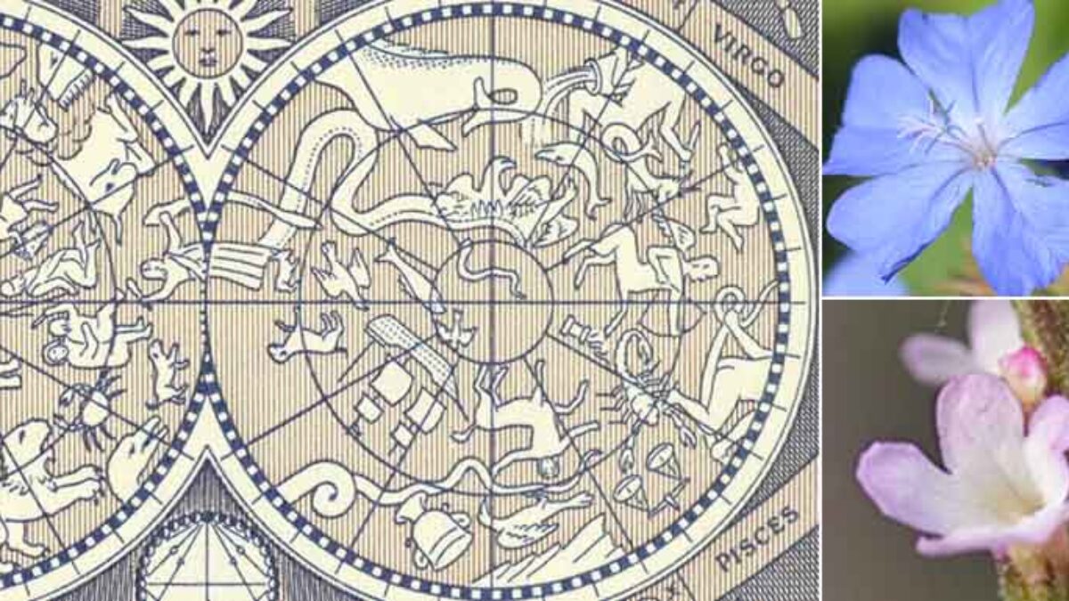 Bach-Astrology_featured-