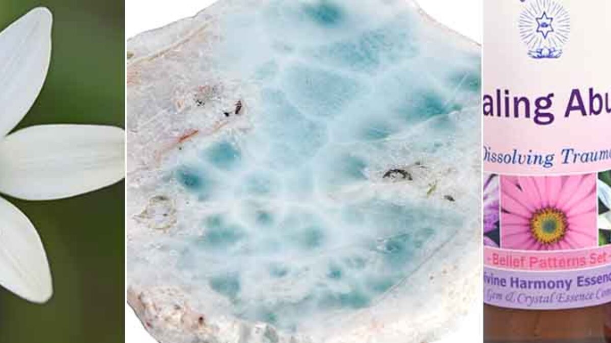 How Do Flower Essences Work On The Subtle Energy Systems Best Flower Site