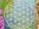 Monage image - Loosestrife flowers, the Flower of Life symbol and a bottle of Flower of Life Essence
