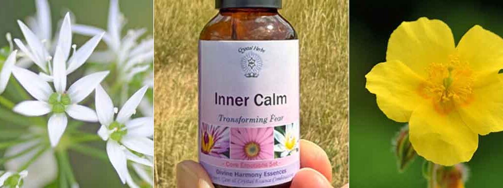 Monage image - Garlic flowers, a bottle of Inner Calm Essence and a Rock Rose flower