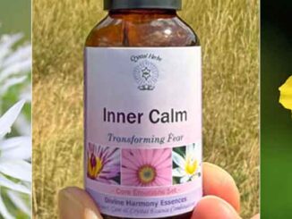 Monage image - Garlic flowers, a bottle of Inner Calm Essence and a Rock Rose flower