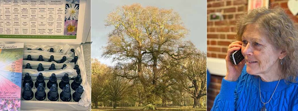 Montage image: set of Crystal Herbs Bach Flower Remedies, a beautiful tree in winter sunlight and Catherine Keattch on the phone