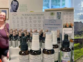 Montage Image - some of the lovely people who attended the BFVEA Gathering