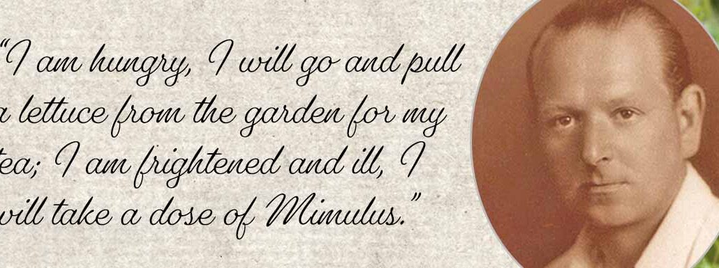 A quote from Dr Edward Bach, with text, a picture of Dr Bach and some Mimulus flowers in the background.